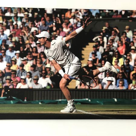 Pension Tennisweber Schwechat Eksteriør billede
